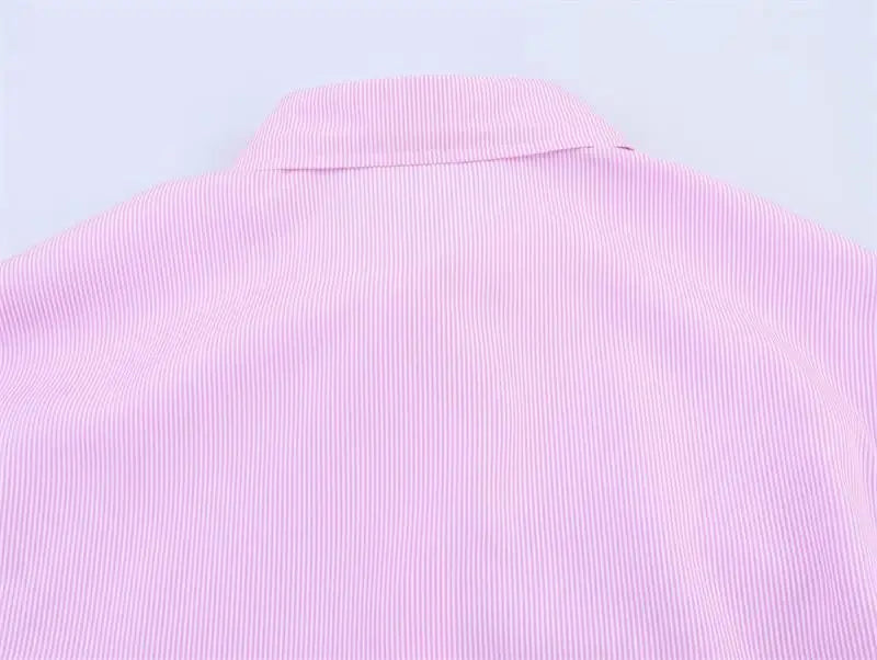 Spring Shirts Tops Women's 2025 New Chic Striped Slim Elegant Office Women's Shirt Fashion Street Youth Long-Sleeved Shirt