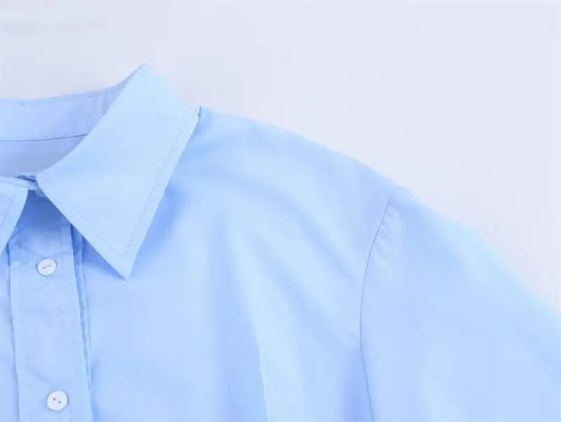Spring Shirts Tops Women's 2025 New Chic Striped Slim Elegant Office Women's Shirt Fashion Street Youth Long-Sleeved Shirt