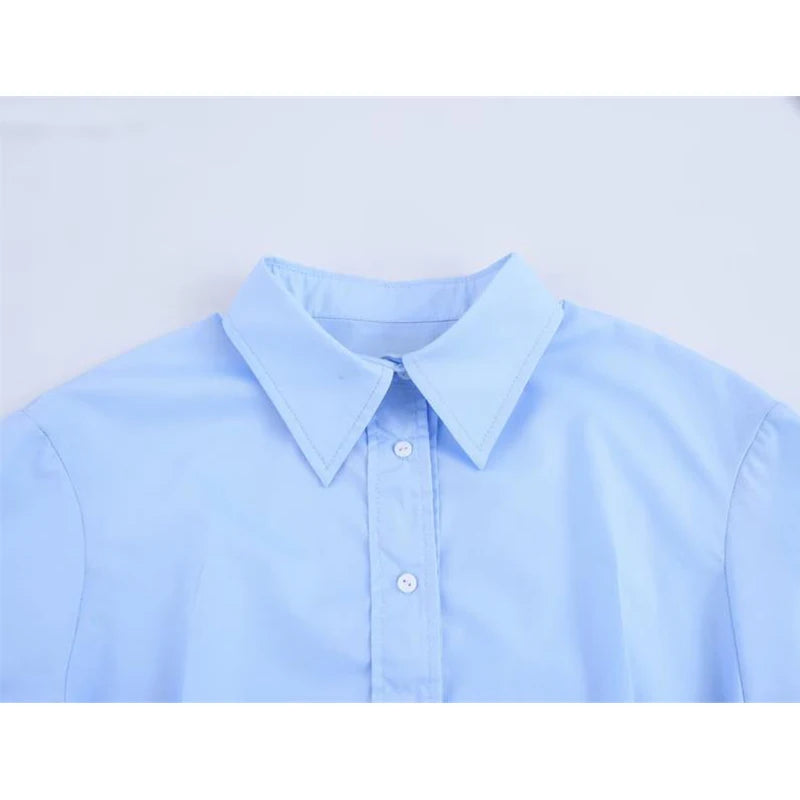 Spring Shirts Tops Women's 2025 New Chic Striped Slim Elegant Office Women's Shirt Fashion Street Youth Long-Sleeved Shirt